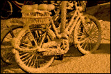 sodium-lit winter bike