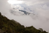 Manu cloud forest