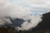 Manu cloud forest