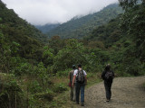 exploring the Manu Road