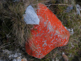 lichen-covered stone