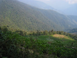 deforestation, Carpish Mountains