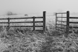 Cold-gate.jpg