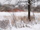 Roadside Winter Landscape