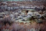 Log cabin, Arches NP, Utah, USA