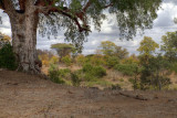 IMG_5668+1_+5_.jpg