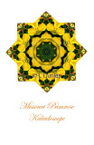 3 - Missouri Primrose Kaleidoscope Card