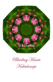 53 - Bleeding Heart Kaleidoscope Card