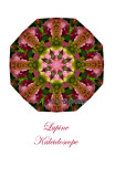58 - Lupine Kaleidoscope Card