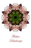 60 - Fuchsia Kaleidoscope Card