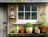 Photographer in the potting shed.