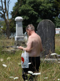 Out shopping... saw this fellow.. walking through the graves ?
