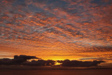 Sunrise 05.01.2011 Whangaparaoa. NZ