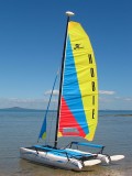 Hobie Cat