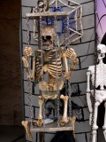 Caged skeleton.  There is a cordless mic so you can make him talk and interact with the kids, fun!  They cant figure it out...