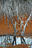 Kai Iwi Lakes, Northland, New Zealand