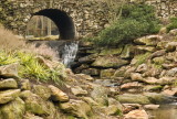 Footbridge and stream