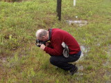 Ron Parsons, standing in water, photographing the numerous Dionaea muscipula on the roadside