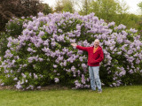 Day 3: Jim with Lilacs at UW Arboretum