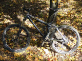 2008_1005(060).JPG