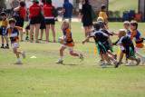 Rugby 2008023.jpg