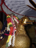 MM in Hamsa vahanam2.jpg