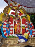 Parthasarathi-Ekadasi purappadu.jpg