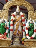 Parthasarathi-Iyppasi sadhayam Morning purappadu.jpg