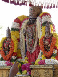 Thiruvallikeni - Parthasarathi - Rathasapthamai purappadu2.jpg