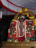 varadar davanOtsavam evening purappadu.jpg