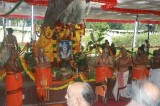 955th Ananthanpillai Avathara Utsavam - 15Mar09 (104).jpg