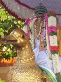 Day-7-Chakravarthi thirumagan_Hamsa Vahanam-2.jpg