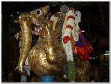 4-4th day evening - udayavar in yAli vahanam2.jpg