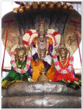 2nd day morning - Asingar in seshavahanam.jpg