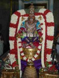 5th day night - patthi ulAthal - yOga narasimhar thirukOlam - close up shot.jpg