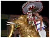 6th day night - yAnai vAhanam3.jpg
