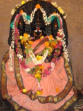 Madhavi Thayar.JPG