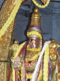 Ragavan Close up view1.jpg