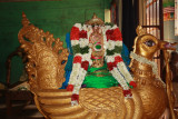 Hamsa Vahanam Purappadu 6th Day-Morning.JPG