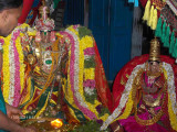 Selvatthan serai Emberumaan- 6th Day Purappadu.jpg