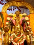 Masi Maham-Sri Parthasarathi in Garuda sevai1