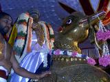 Parthasarathi on Hamsa Vahanam.JPG