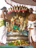 Parthasarathi on sesha vahanam.JPG