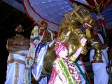 sarathi gudirai vahanam.JPG