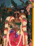 Pinnakalai vahanam - 1st day - closeup.jpg