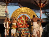 Sri Narasimhar in soorya prabhai - 4th day morning.JPG