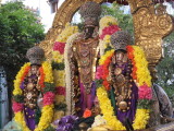 Breathtaking Parthasarathy blessing Thirkachi Nambi