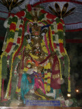 67-semponnarangar in garudan.jpg