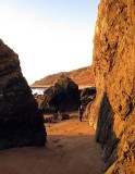 Feb 09 Black isle coast - tidal cliff north of rosemarkie