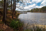 Valentine Lake waterscape